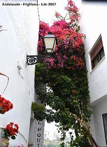 602 - Frigiliana